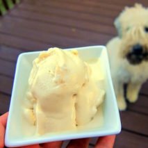 Dog Ice Cream Recipes to Beat the Heat