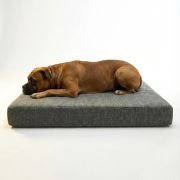 senior dog sleeping on premium memory foam orthopedic dog bed