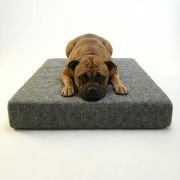 memory foam orthopedic dog bed in living room with plush cover