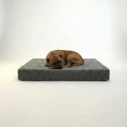 large breed dog resting comfortably on memory foam orthopedic dog bed
