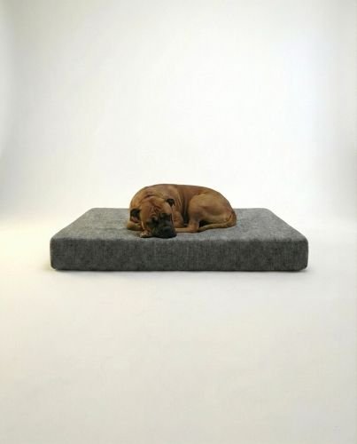 Memory Foam Orthopedic Dog Bed