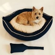 small dog curled up in medium canoe dog bed