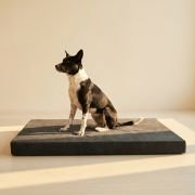 Orthopedic Dog Bed Covers