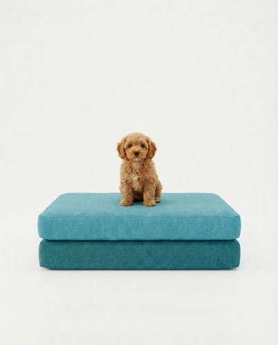 Cover For Memory Foam Orthopedic Dog Bed