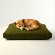 dog sleeping on chewproof dog bed with removable cover