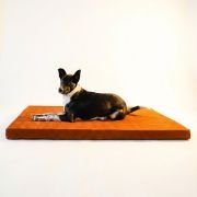 senior dog resting comfortably on orthopaedic dog bed