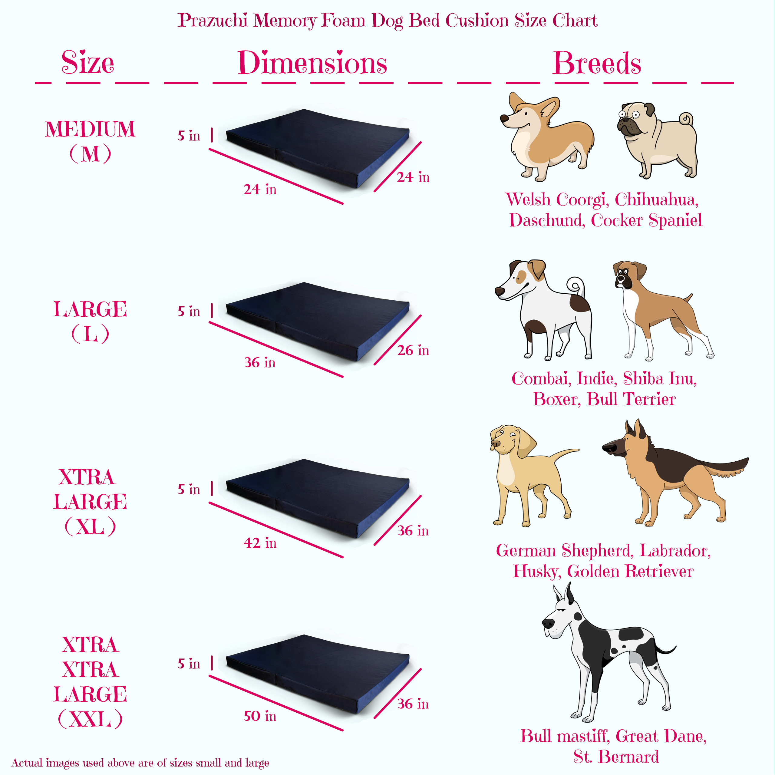 Memory Foam Dog Bed | Starting 3899 INR |1 Year Warranty | By Prazuchi