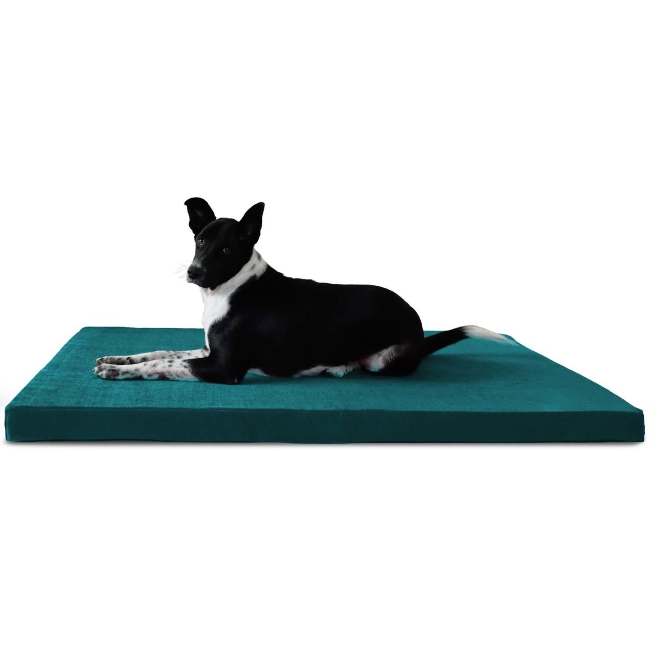 Luxury Orthopedic Dog Bed Prazuchi