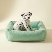 puppy resting on XS classic bolster dog bed