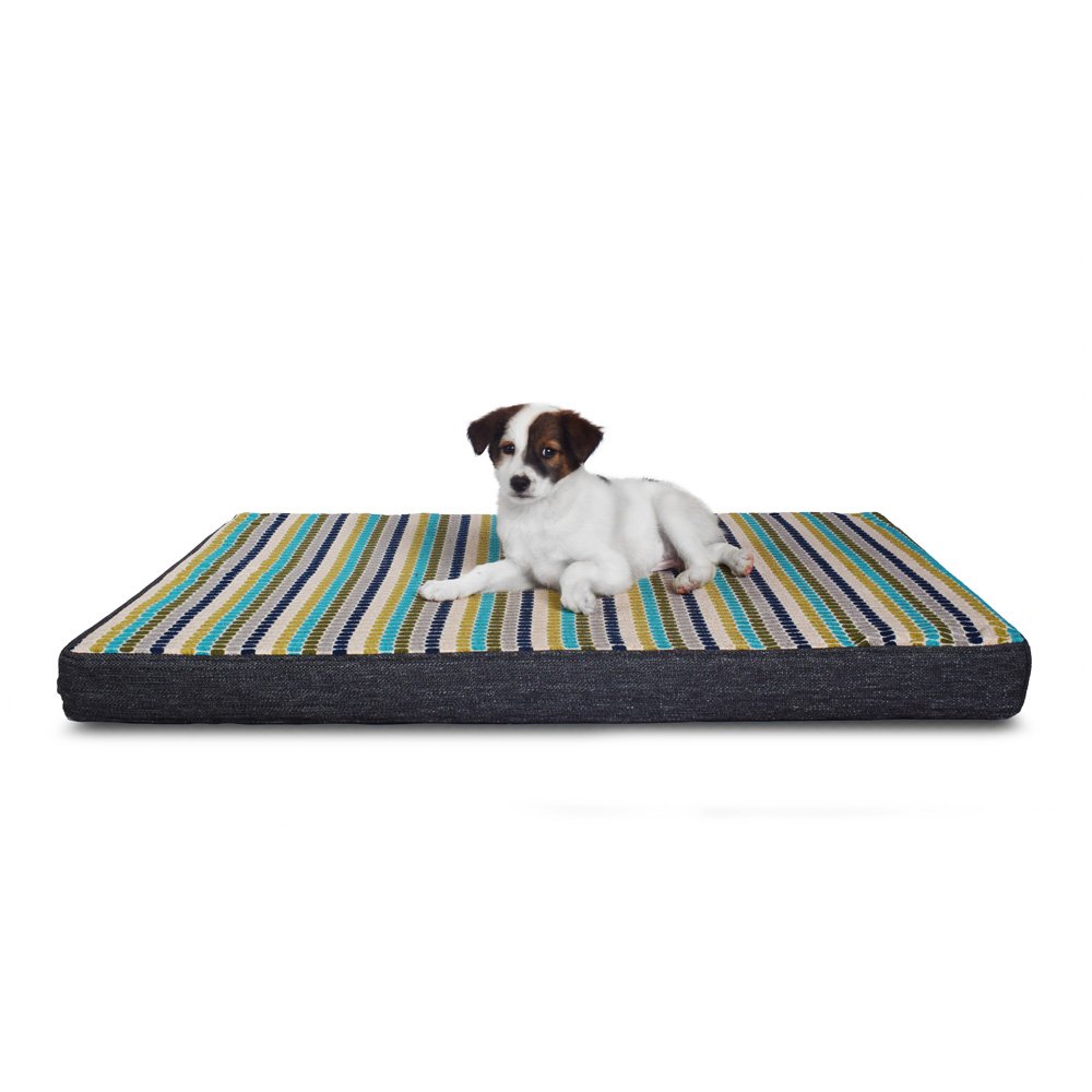 Blue Candies Orthopedic Dog Bed Prazuchi