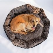 large dog sleeping in spacious XL wolf grey fur bolster dog bed