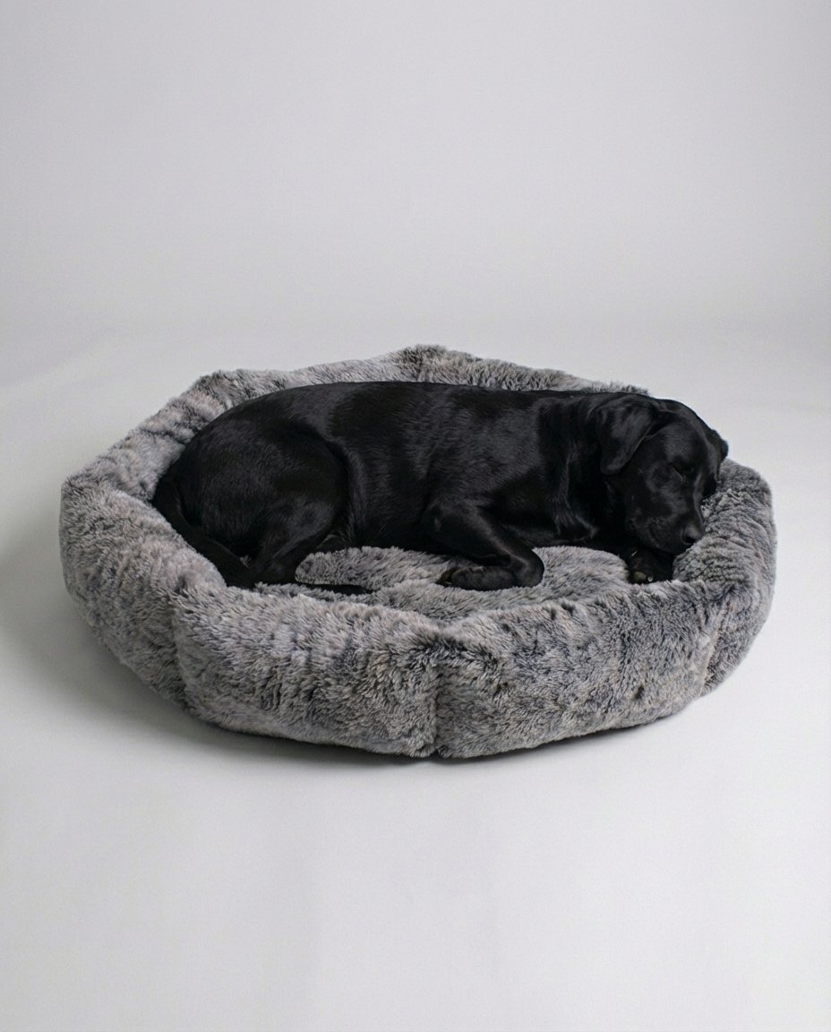labrador sleeping on the fur bolster dog bed