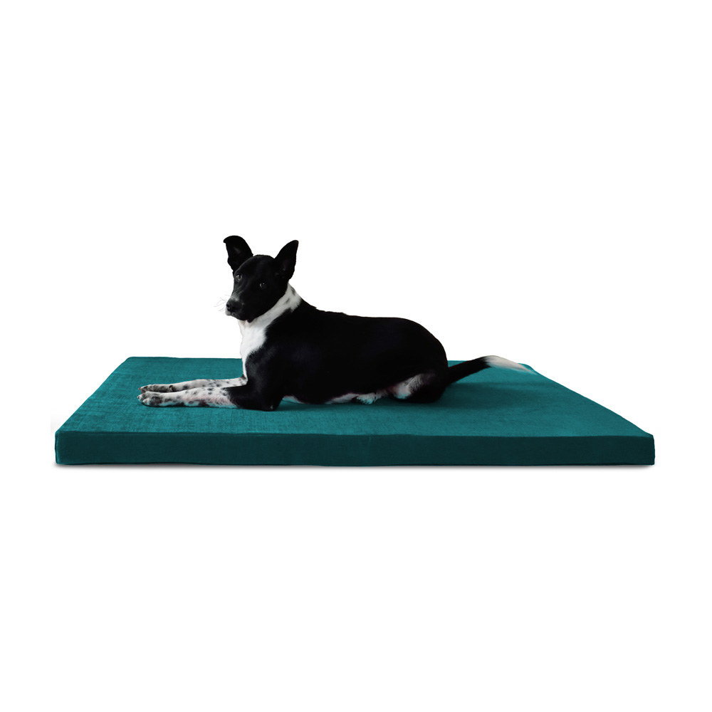 orthopedic-dog-bed-1-year-warranty-perfect-for-old-and-big-boned-dogs