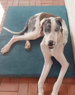 WhatsApp Image 2019-01-09 at 15.00.26 (1)