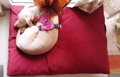 WhatsApp Image 2019-01-10 at 18.08.25 (1)