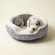 puppy resting in XS sherpa bolster dog bed with removable pillow