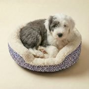 puppy resting in XS sherpa bolster dog bed with removable pillow