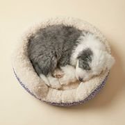 puppy resting in XS sherpa bolster dog bed with removable pillow