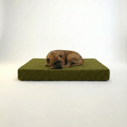Large dog resting on memory foam orthopedic dog bed