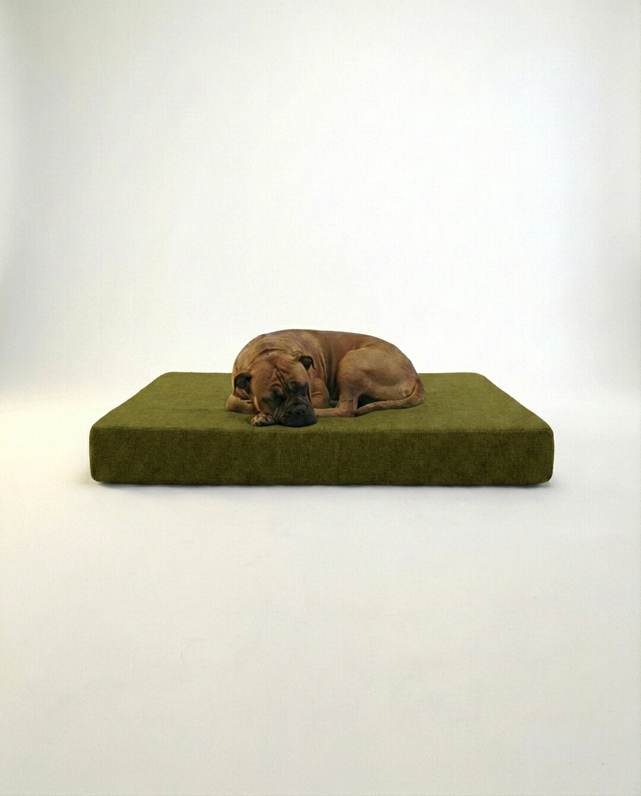Large dog resting on memory foam orthopedic dog bed