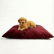 golden retriever sitting on a waterproof dog bed