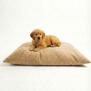 puppy sitting on a waterproof dog bed