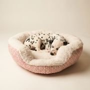 dog sleeping in spacious XL pink block print dog bed