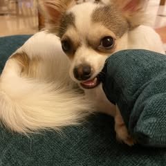 267387574_2957061267878291_6460134164135452864_n