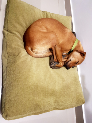 476604081_935071968780837_8478743691986044333_n