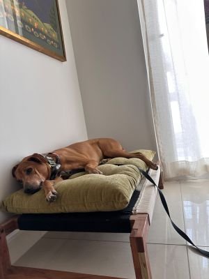 483913419_659120756491719_6360681911151894346_n