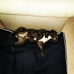 69620386_517246789069611_4757115433078477425_n