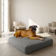 Memory Foam Orthopedic Dog Bed