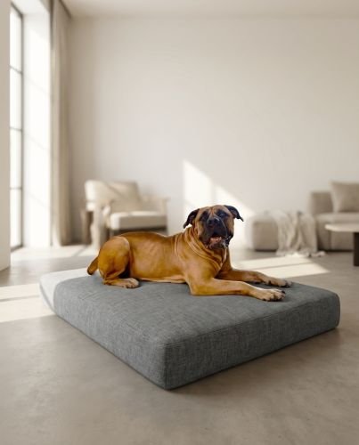 Memory Foam Orthopedic Dog Bed