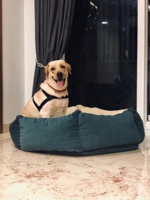 WhatsApp Image 2019-08-31 at 00.50.14 (2)