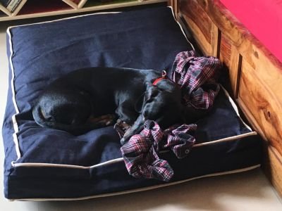 WhatsApp Image 2019-08-31 at 00.50.14 (7)