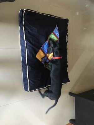 WhatsApp Image 2019-08-31 at 00.50.14 (8)