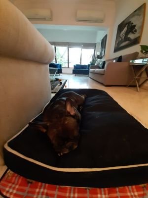 WhatsApp Image 2019-08-31 at 00.50.14 (9)