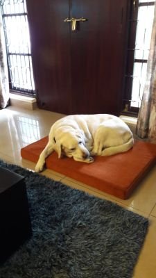 WhatsApp Image 2019-09-27 at 02.35.11