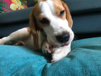 WhatsApp Image 2019-09-30 at 15.55.47